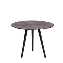 LB-450299-0-4-04-0613-zebVP-first-