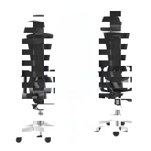 ZYMARIDIS/ZYM-268447-14631913